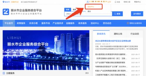 麗水企業 2021年中小微企業服務券申領正式啟動，助力信息技術咨詢服務發展